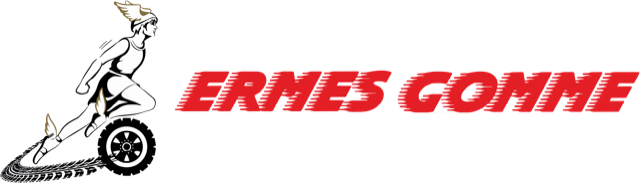 Ermes Gomme - Gommista Poirino Chieri